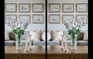 成都別墅華僑城東岸簡(jiǎn)美裝修風(fēng)格案例